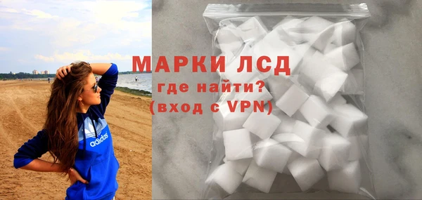 стаф Покачи