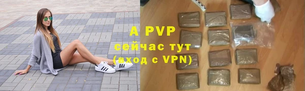 стаф Покачи