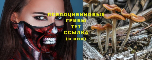 стаф Покачи